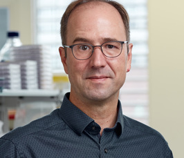 Inhibitory connectivity and computations in olfaction Inhibitory connectivity and computations in olfaction